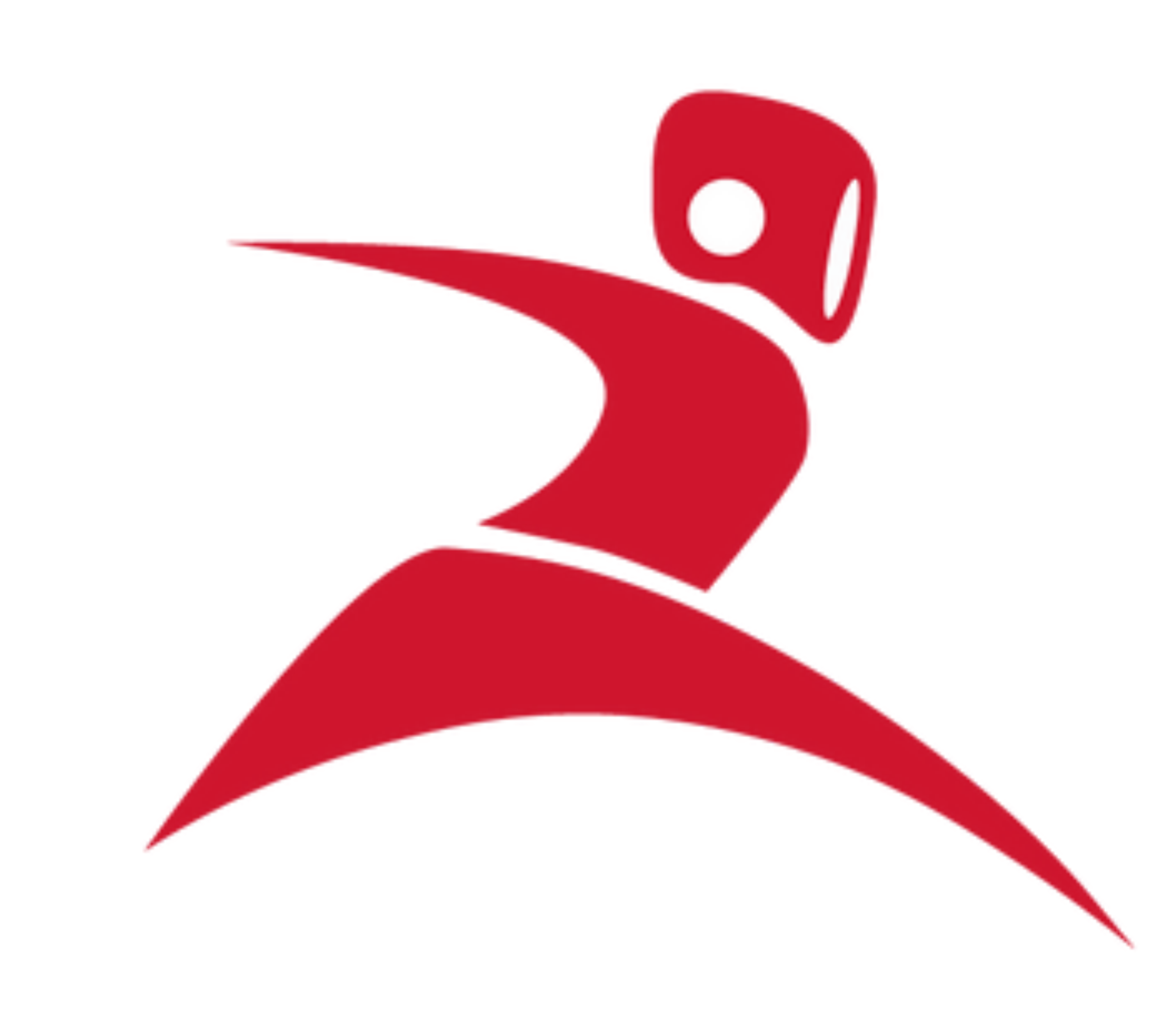 Center for Artificial Intelligence and Robotics (ROMER), METU